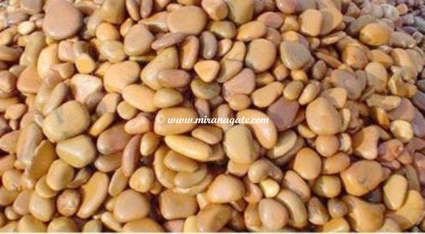 Manufacturers Exporters and Wholesale Suppliers of River Pebbles Khambhat Gujarat